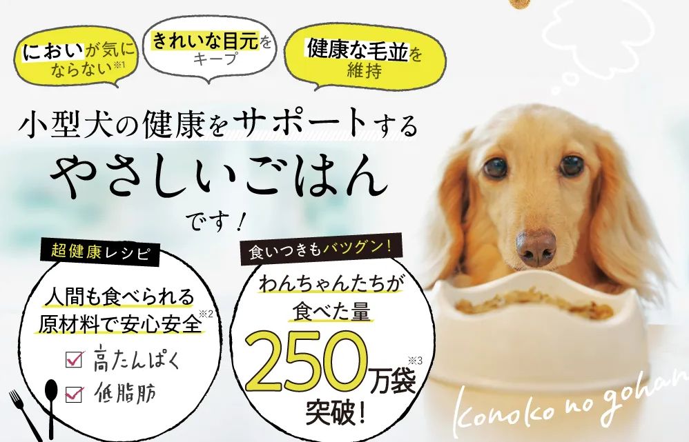 このこのごはん