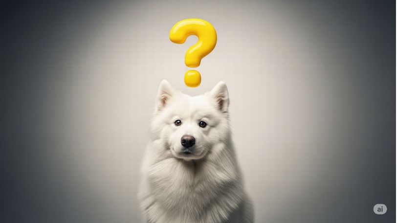 愛犬の肝臓に負担がかかるという噂