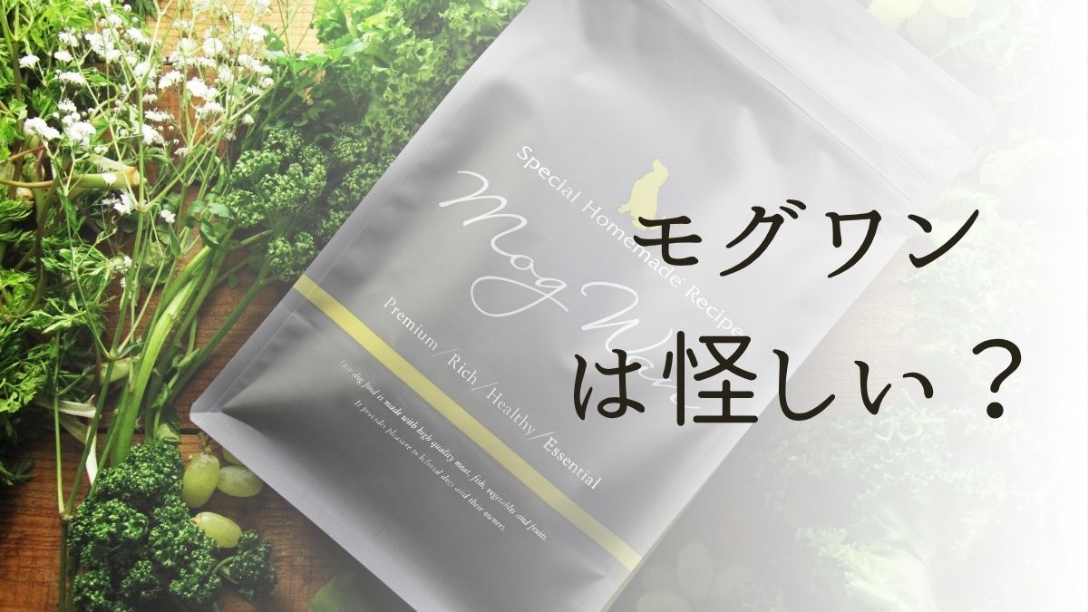 モグワンは怪しいの真相は？口コミと安全性を徹底